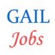 PWD Candidates Jobs in Gail India