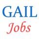 Gail India Jobs
