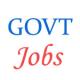 Stenographer Jobs in Rashtriya Sanskrit Sansthan