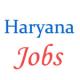 Medical Officer Jobs in Haryana Health Department