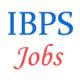 IBPS IVth CBWE for Rural Banks for Officer and Office - Assistant posts