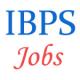 IBPS CWE for Specialisit Officers 2015 in PSU Banks - November 2014