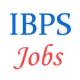 Various jobs in IBPS
