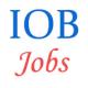 Upcoming Banking Jobs in Indian Overseas Bank as specialist Officer - October 2014