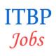 Vacancies of ITBP Constable Pioneer posts- September 2014
