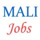 Mali Gardener Jobs in President Secretariat