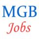 Officer Scale-I and Office Assistant Jobs in Madhyanchal Gramin Bank - January 2015