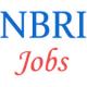Upcoming Scientist posts in NBRI Lucknow - November 2014