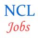 Northern Coalfields - Stenographer and Trainee posts