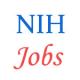 Scientists Jobs in National Hydrology Institute