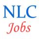 Upcoming Jobs for Professionals in Neyveli Lignite - September 2014