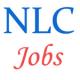 NLC India Jobs of Executives
