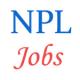 NPL - Scientist and Technical Assistant Jobs