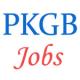 Upcoming Banking Jobs in Pragati Krishna Gramin Bank - November 2014