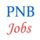 Punjab National Bank Jobs - Hockey Players vacancy