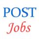 Postman and Mailguard Jobs in Delhi Circle - November 2014