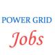 POWER GRID CORPORATION Jobs