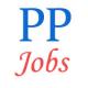 Punjab Police Jobs - Sub-Inspector Operator