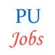 Punjabi University Assistant Professor Jobs