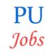 Punjabi University -  Assistant Professors posts