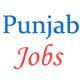 Jobs in Punjab Technical Education and Industrial Training Department
