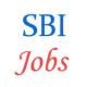 SBI Vice President Jobs
