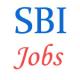 SBI Specialist Officer Jobs
