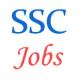 SSC Multi Tasking Staff Jobs
