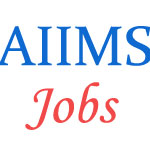 Non-Teaching Jobs in AIIMS