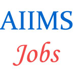 Assistant Professor Jobs in AIIMS