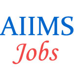 Assistant Professor Jobs in AIIMS