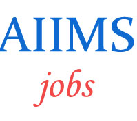 Govt. Jobs in AIIMS