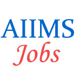 Nursing Jobs in AIIMS