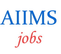 Non-Teaching Staff  Jobs in AIIMS