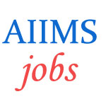Assistant Professor and Lecturer Jobs in AIIMS