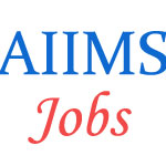 Librarian Sarkari Jobs in AIIMS Rishikesh
