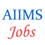 Various jobs in All India Institute of Medical Sciences (AIIMS)