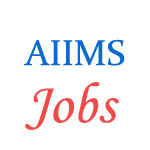 Various Jobs in All India Institute of Medical Sciences (AIIMS)