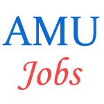 Various Jobs in Aligarh Muslim University (AMU)