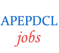 Assistant Engineer (Electrical) Jobs in APEPDCL