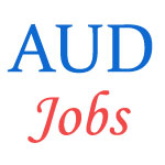 Teaching Jobs in Ambedkar University Delhi