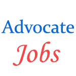 Various Jobs in Rajasthan High Court
