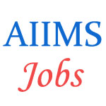 Faculty Jobs in All India Institute of Medical Sciences (AIIMS), Patna
