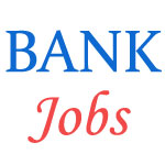 Specialist officers Jobs in Syndicate Bank