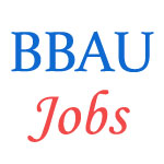 Teaching and Non-Teaching Jobs in Babasaheb Bhimrao Ambedkar University Lucknow