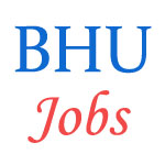 Various Professor Jobs in BANARAS HINDU UNIVERSITY (BHU)