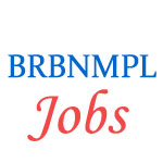Assistant Managers Jobs in BRBNMPL