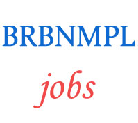 Assistant Manager Security Jobs in BRBNMPL