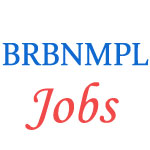 BRBNMPL Manager and Industrial Workman Trainee Jobs