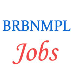 Industrial Workman Gr.I Trainee Posts - BRBNMPL Bangalore